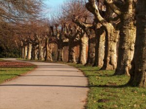 Saarbruecken temperatura